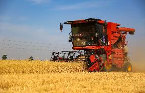 CHINA-HEBEI-SUMMER-AGRICULTURE (CN)