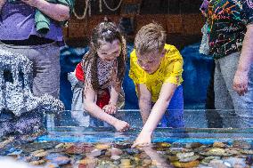 RUSSIA-VLADIVOSTOK-WORLD OCEAN DAY