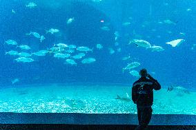 RUSSIA-VLADIVOSTOK-WORLD OCEAN DAY