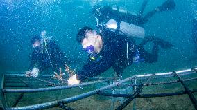 CHINA-HAINAN-WORLD OCEAN DAY-CORAL PROTECTION (CN)