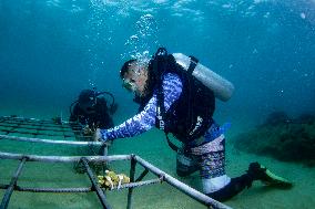 CHINA-HAINAN-WORLD OCEAN DAY-CORAL PROTECTION (CN)