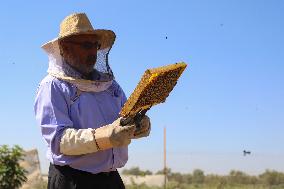 MIDEAST-GAZA-HONEY-BEEKEEPER