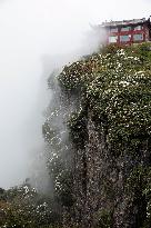 CHINA-SICHUAN-MOUNT EMEI-WORLD HERITAGE (CN)
