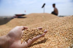 CHINA-ANHUI-BOZHOU-WOYANG-WHEAT-PROCESSING (CN)