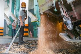 CHINA-ANHUI-BOZHOU-WOYANG-WHEAT-PROCESSING (CN)