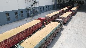 CHINA-ANHUI-BOZHOU-WOYANG-WHEAT-PROCESSING (CN)