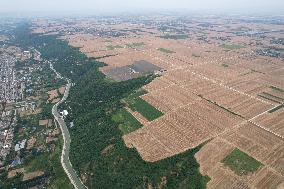 CHINA-SHAANXI-BAOJI-HARVEST-SOWING (CN)