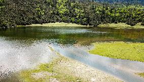 (InTibet)CHINA-TIBET-ENVIRONMENT (CN)