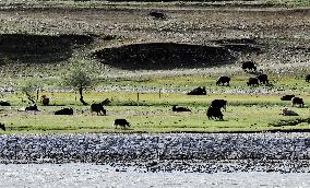 (InTibet)CHINA-TIBET-ENVIRONMENT (CN)