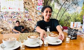 TIMOR-LESTE-COFFEE INDUSTRY