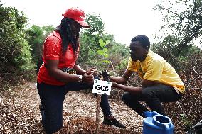 GHANA-ACCRA-FOREST-RESTORATION (CN)