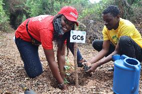 GHANA-ACCRA-FOREST-RESTORATION (CN)