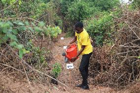 GHANA-ACCRA-FOREST-RESTORATION (CN)