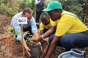 GHANA-ACCRA-FOREST-RESTORATION (CN)