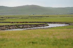 CHINA-INNER MONGOLIA-MERGEL GOL RIVER-SCENERY (CN)