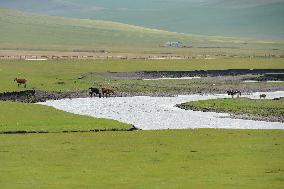 CHINA-INNER MONGOLIA-MERGEL GOL RIVER-SCENERY (CN)