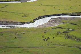 CHINA-INNER MONGOLIA-MERGEL GOL RIVER-SCENERY (CN)