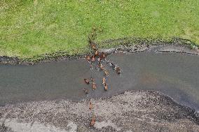 CHINA-INNER MONGOLIA-MERGEL GOL RIVER-SCENERY (CN)