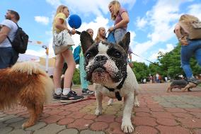 BELARUS-MINSK-PETS