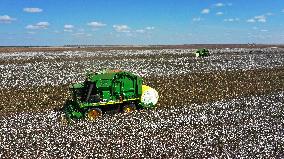 BRAZIL-BAHIA-COTTON
