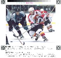 NHL ice hockey back in Japan