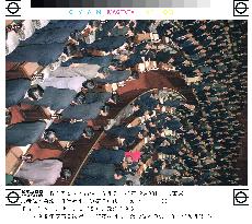 Extra stimulus budget passes lower house