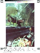 Aquarium restaurant