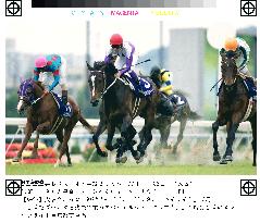Special Week holds off Mejiro Bright for Tenno-sho