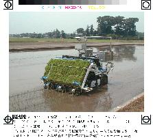 GPS-assisted rice-planting robot unveiled