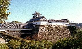 Japanese Castle