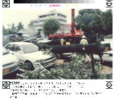 Heavy rains hit southwestern Japan