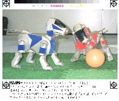 Robot dogs train for int'l robot soccer meet