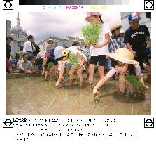 Children plant rice on roof of Tokyo department store