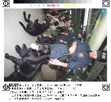 3 sniffer dogs leave Japan for Taiwan