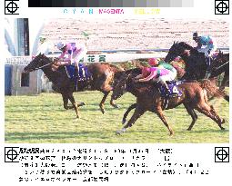 Narita Top Road wins Kikka-sho