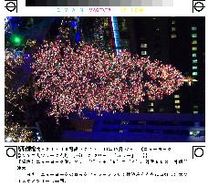 Rockefeller Center's Christmas tree illuminated