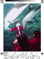 Santa Claus swims with dolphins in Osaka