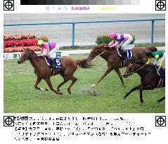 T.M. Opera-O holds off Rascal Suzuka for Tenno-sho win