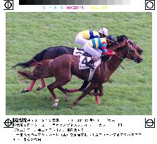 Agnes Flight nips Air Shakur by nose for Japan Derby