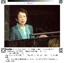 Iwao addresses U.N. session on women