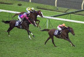 Top favorite T.M. Opera O claims Tenno-sho double