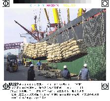 Japan begins loading rice for shipment to N. Korea