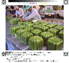 Square watermelons ready for shipment