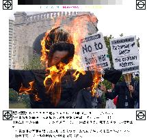 S. Korean protesters burn Koizumi effigy