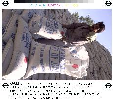 WFP staff sorts wheat from Japan in Peshawar