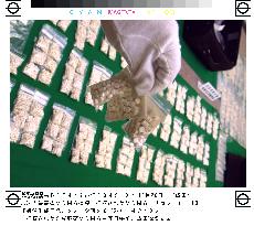 Man held after record ecstasy pill haul at Narita airport
