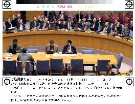 U.N. council expresses 'strong support' for new Afghan gov't