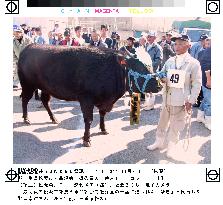 Matsusaka cow gets top prize amid mad cow scare
