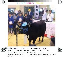 Matsusaka cow sold for 30 mil. yen amid mad c