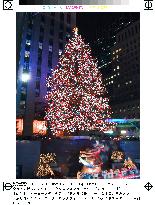 Christmas tree lit in New York